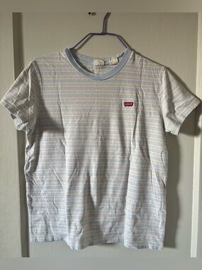 Levi’s Neutral Stripe Tee